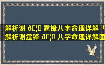 解析谢 🦟 霆锋八字命理详解「解析谢霆锋 🦁 八字命理详解图」